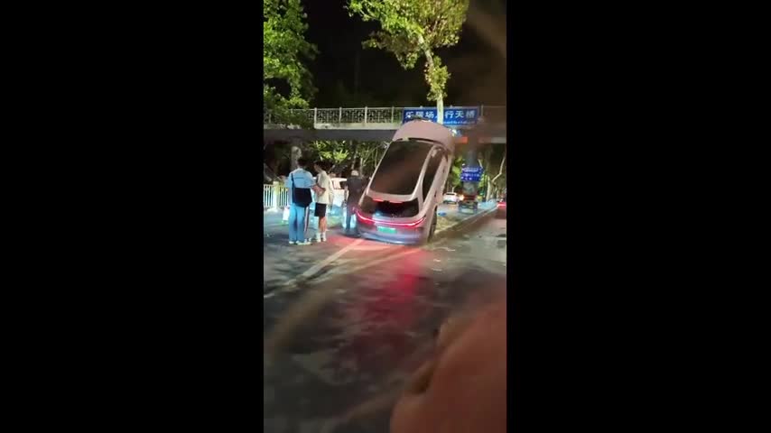 nu-tai-xe-dieu-khien-suv-hang-sang-tong-thang-len-cay-ven-duong-1755562186.mp4