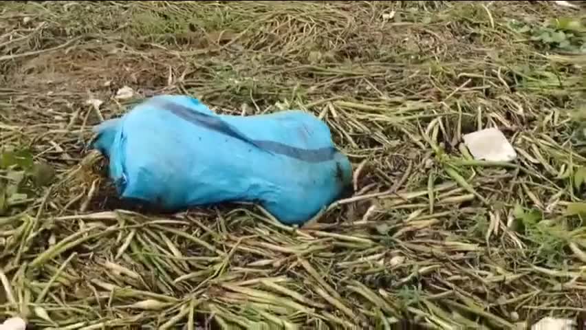 phat-hien-bao-tai-mau-xanh-vut-o-dap-nuoc-va-bi-mat-ben-trong-1752899186.mp4
