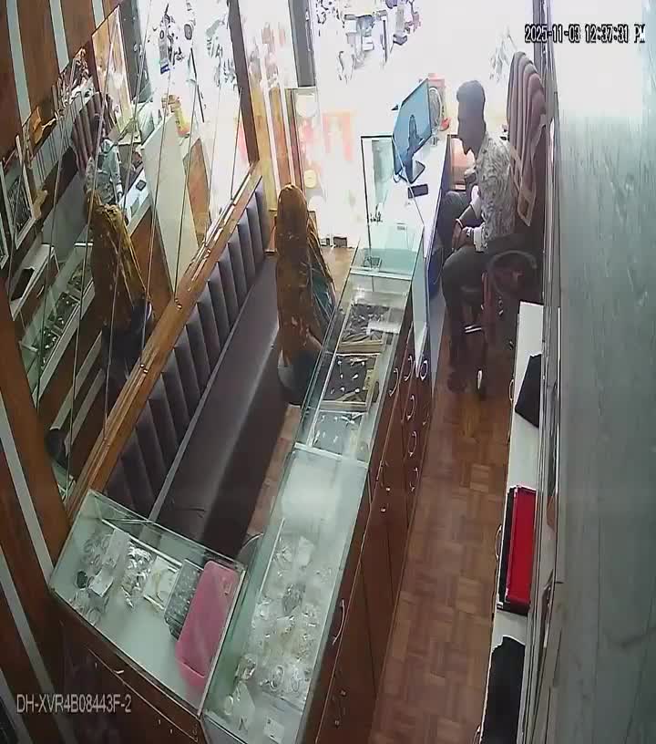 ranapa-gajarata-ma-javalra-ka-thakana-para-1763441039.mp4