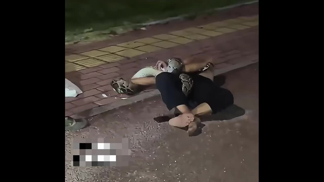 say-ruou-nam-tren-duong-nguoi-dan-ong-bi-con-tran-nang-30kg-siet-chat-1744701694.mp4