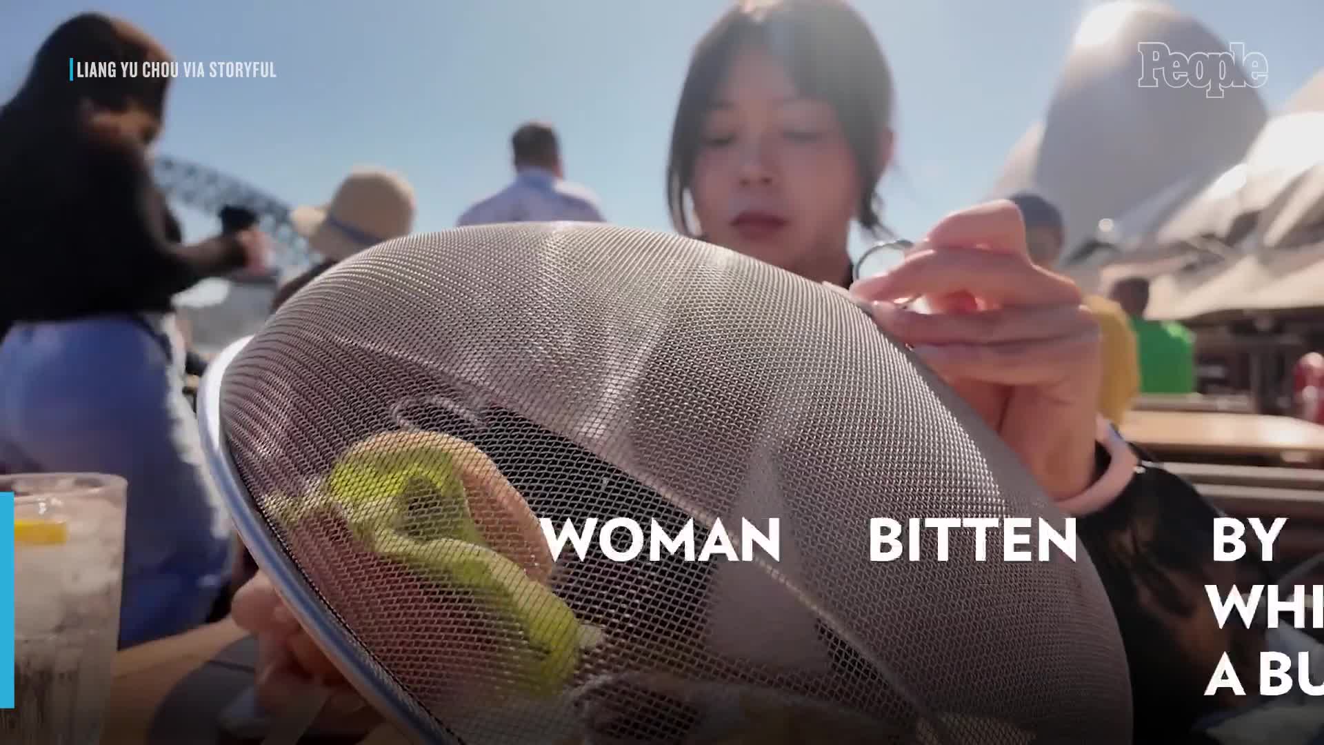 seagull-tries-to-steal-burger-bites-womans-finger-instead-1776912215.mp4