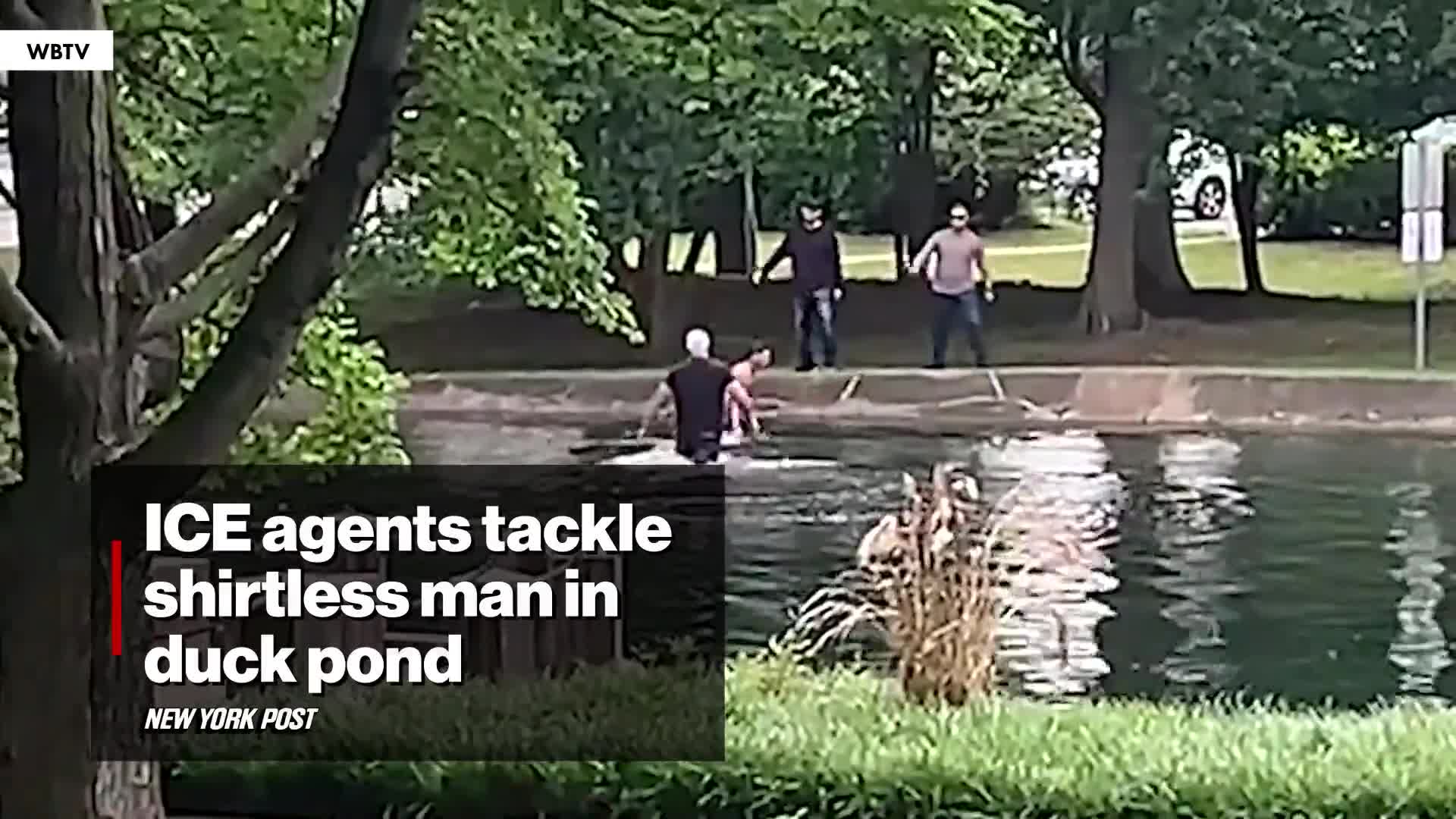 shirtless-illegal-immigrant-busted-by-ice-in-charlotte-pond-video-1747471867.mp4