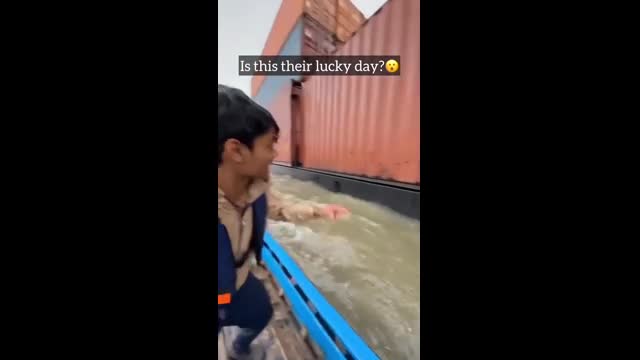 thuc-hu-video-container-noi-tren-bien-chua-iphone-hut-105-trieu-luot-xem-nguon-video-x-1764810172.mp4