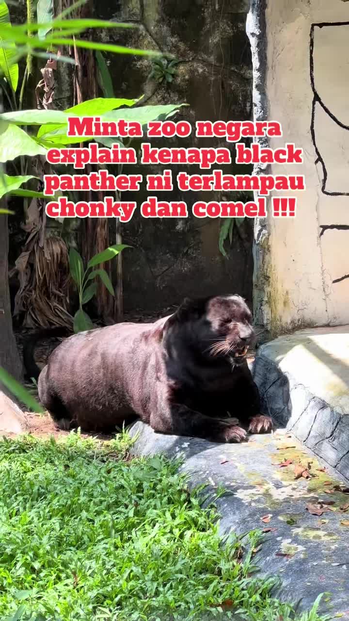 tiktok-make-your-day-1752634110.mp4