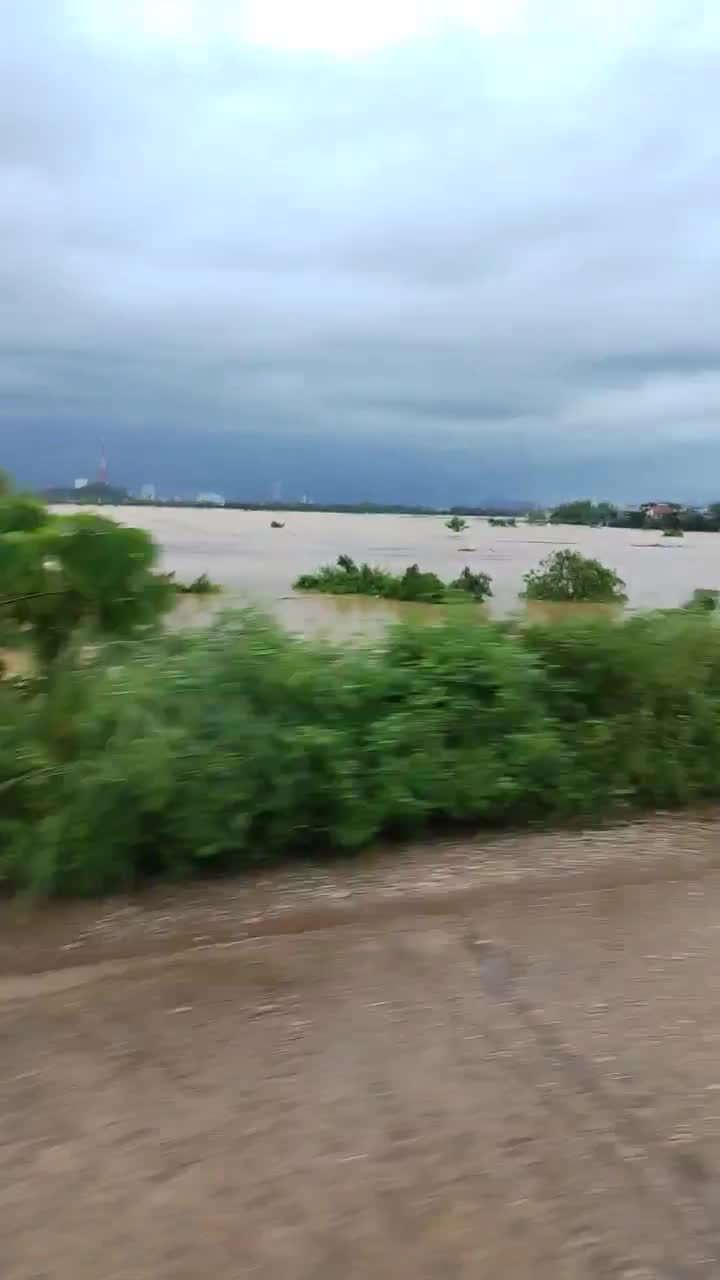 tn-1759890827.mp4