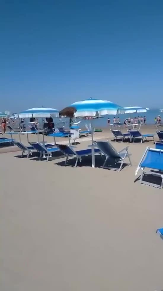 tourists-flee-beach-as-thousands-of-bees-swarm-parasol-whats-t-1781250168.mp4