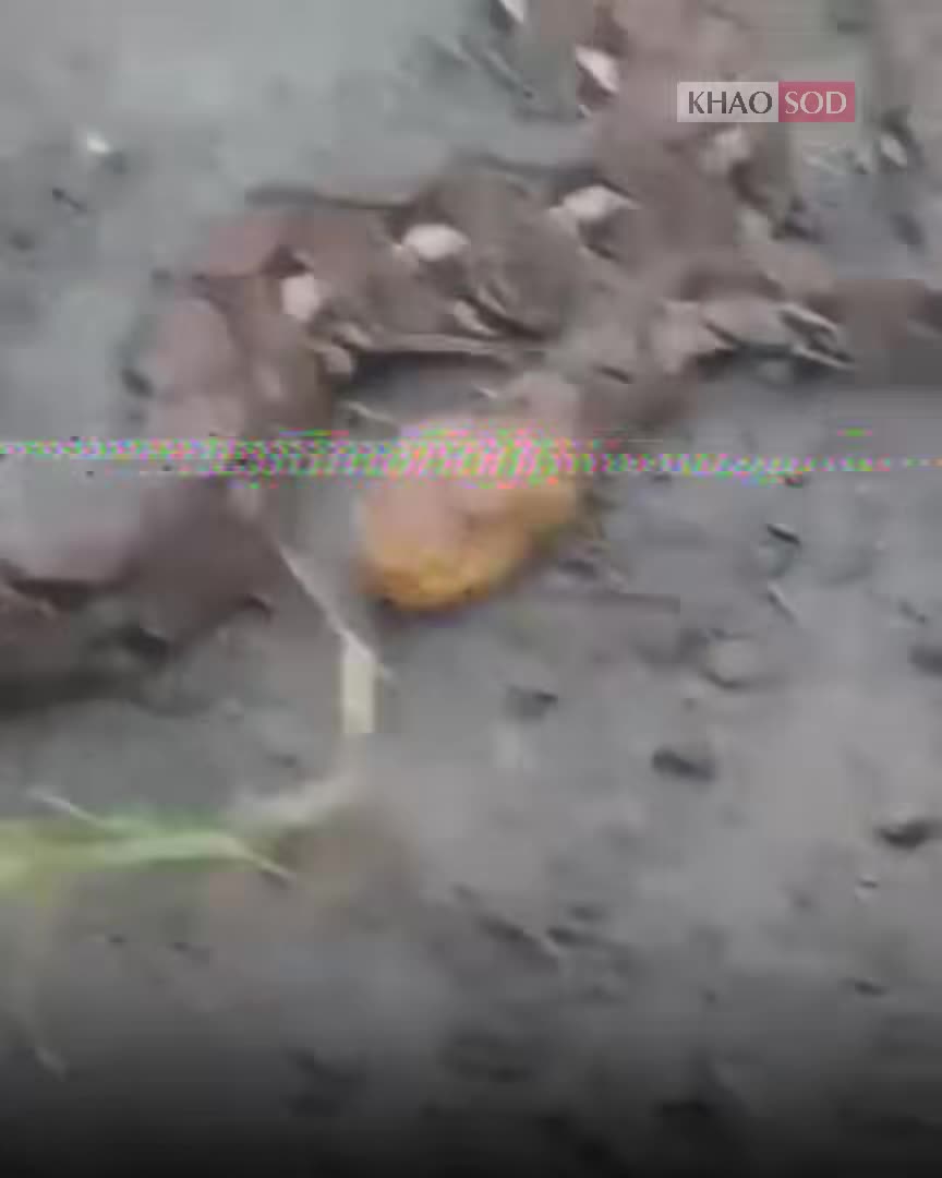 video-facebook-1751950212.mp4