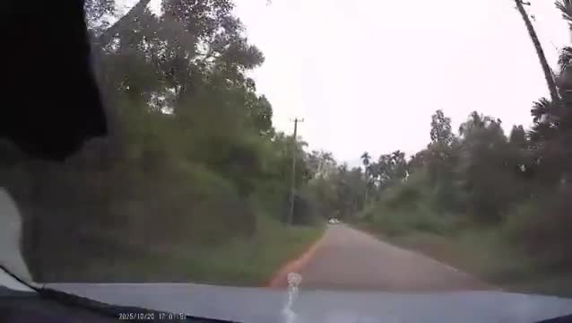 video-shows-childs-narrow-escape-from-speeding-car-internet-blames-careless-parenting-1764295264.mp4