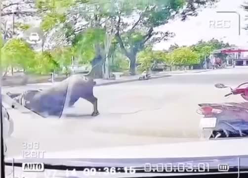 video-trau-dien-truy-sat-nguoi-phu-nu-di-xe-may-tren-duong-1752564170.mp4