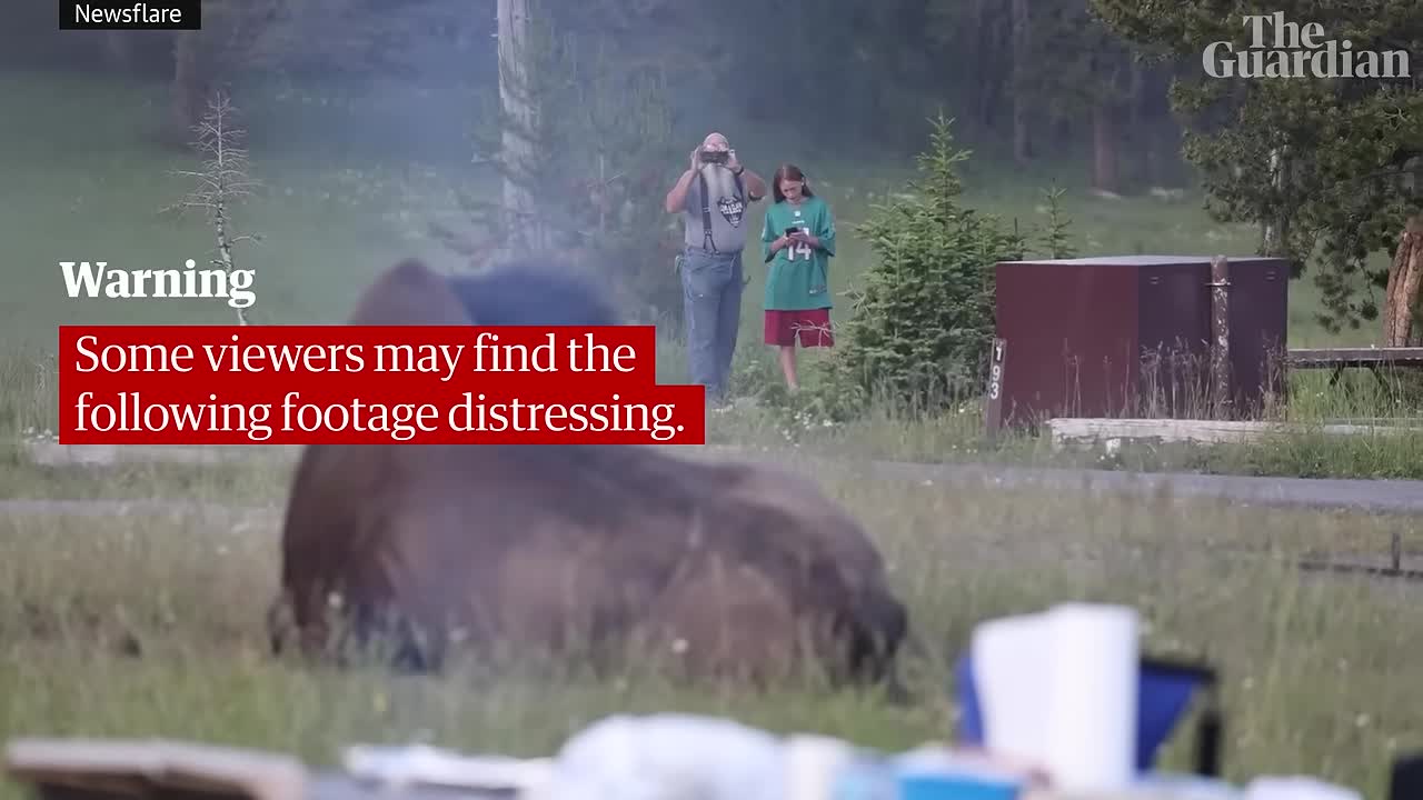 videoplayback-1784106502.mp4