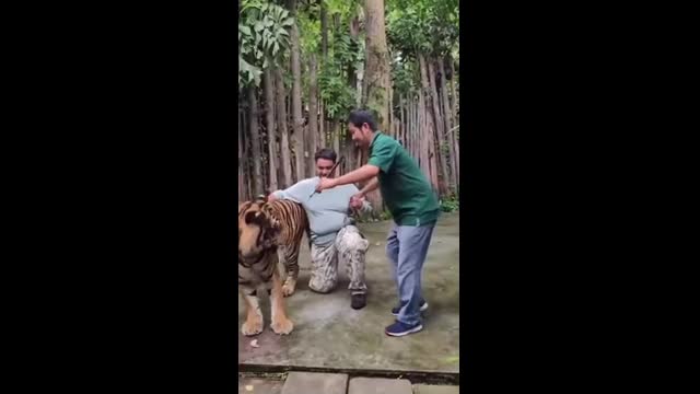 vong-tay-qua-lung-ho-de-chup-anh-du-khach-bi-vo-trong-tich-tac-x-at-sidhshuk-1748817228.mp4
