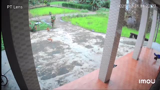 vu-no-gan-nha-dan-1761921043.mp4