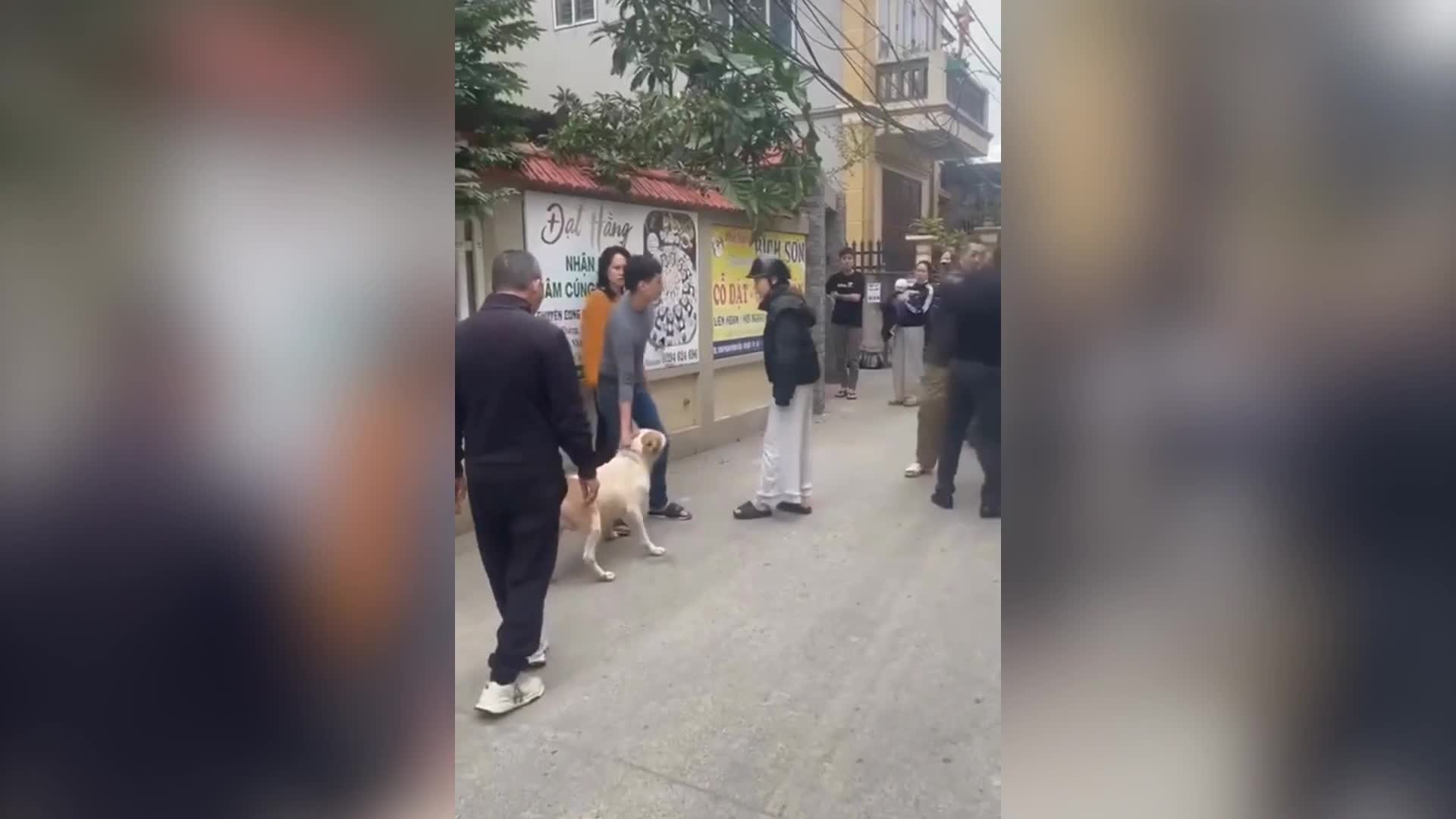 xac-minh-clip-cho-bi-xua-vao-cuoc-au-da-giua-hai-nguoi-dan-ong-q-1766716926.mp4