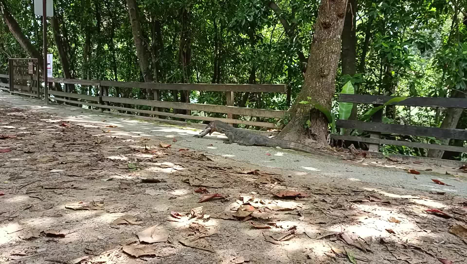 xem-bai-viet-1740990978.mp4