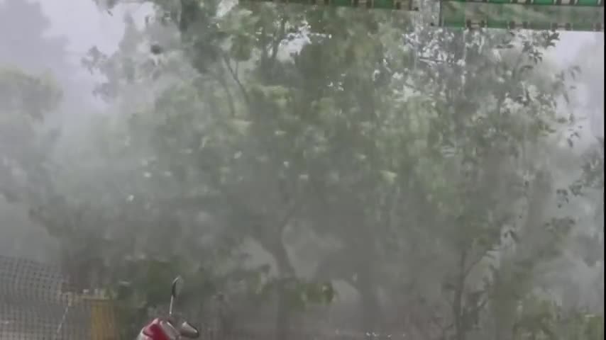 xuat-hien-mua-da-du-doi-o-phu-tho-1774241828.mp4