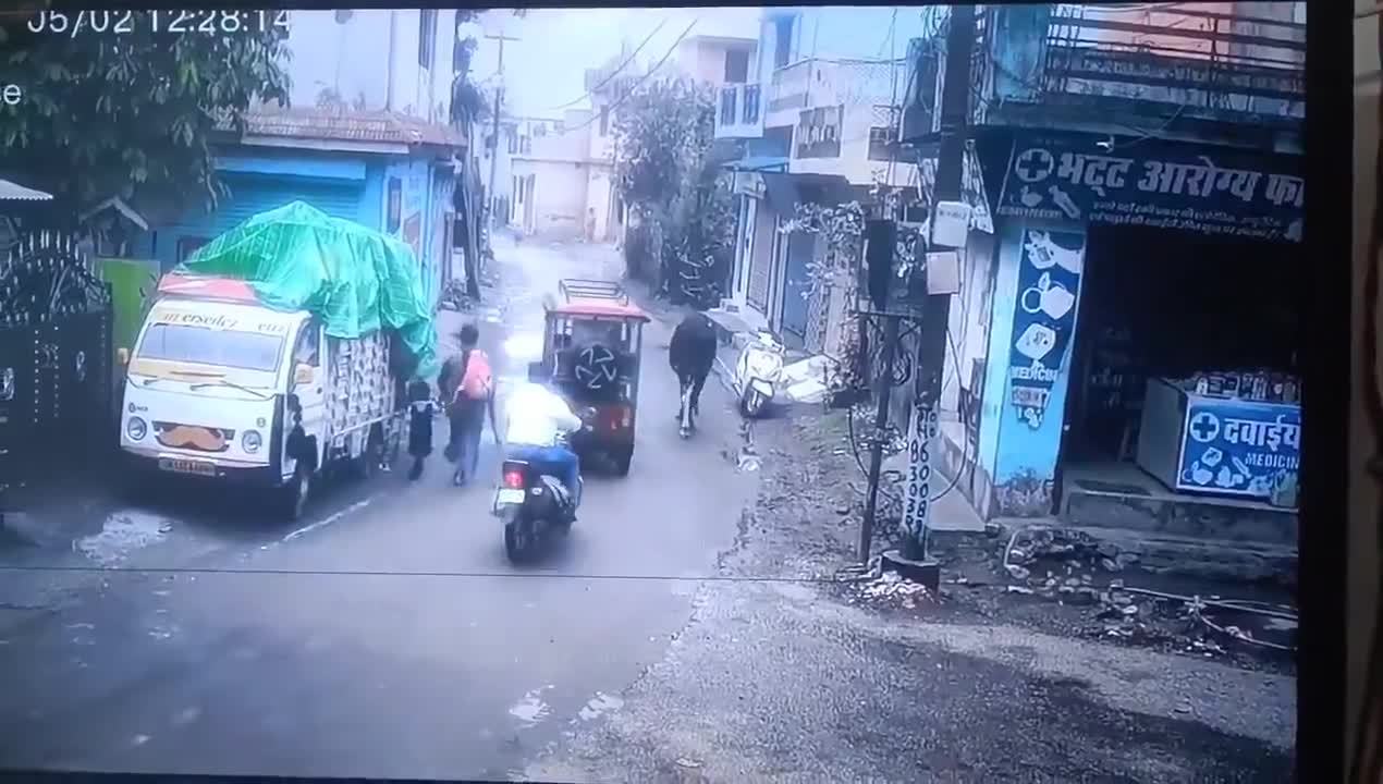 you-must-have-seen-people-stealing-scoot-1747019682.mp4