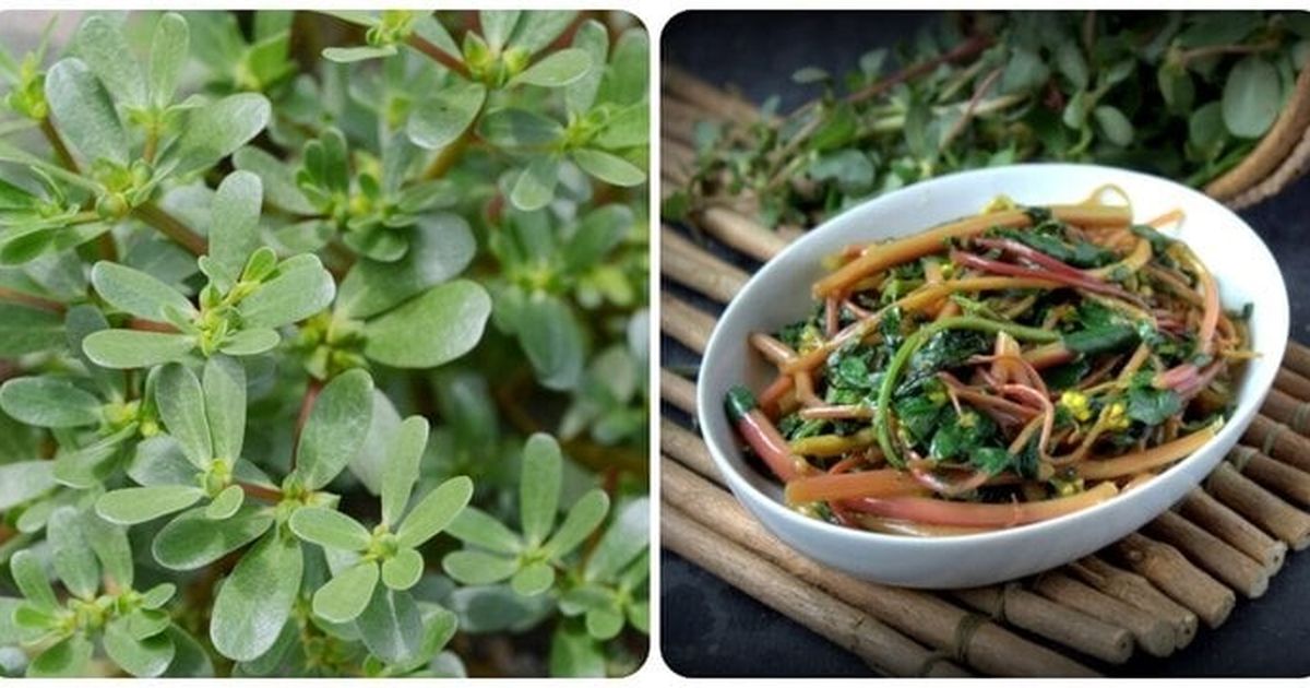 4 loại rau củ mùa hè không lo thuốc trừ sâu,