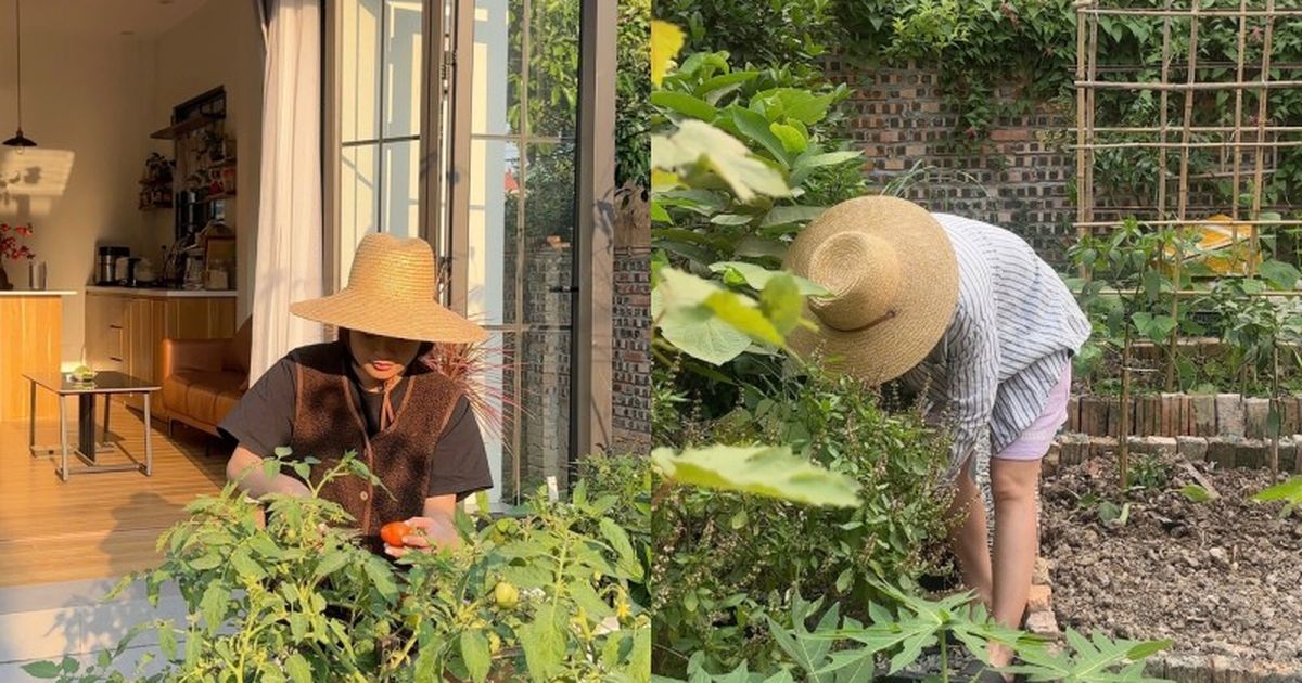 gocnhinphaply.nguoiduatin.vn