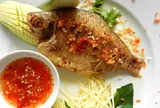 Cá quê một thời "rẻ tiền", nay thành đặc sản 180.000 đồng/kg