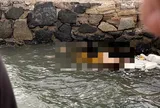 Người phụ nữ 57 tuổi được tìm thấy tử vong dưới sông sau 1 ngày mất tích: Hiện trường xót xa