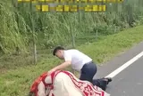 Cô dâu đã dừng xe hoa để thực hiện lời hứa cuối cùng với người cha quá cố, cả đoàn rước dâu bật khóc