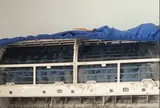 Người đàn ông 70 tuổi nhập viện nguy kịch sau khi hít phải vi khuẩn từ điều hòa bẩn
