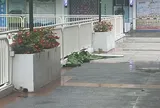 Vụ người đàn ông 61 tuổi rơi lầu tử vong: Vợ và con trai bị bắt, hàng xóm hé lộ bất ngờ