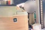 Chê thái độ nhân viên phục vụ, khách lao vào quầy bếp khiến chảo dầu đổ, nhiều người bị thương