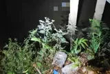 Tìm thấy thi thể người đàn ông mất tích, nguyên nhân khiến ai cũng xót xa