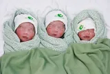 Mang thai lần đầu đã gặp trường hợp hiếm 1/100.000, mẹ trẻ vỡ òa khi nghe tiếng khóc của cả 3 con