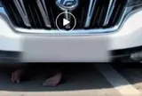 Định lái ô tô đi làm, người phụ nữ chết lặng khi thấy đôi chân dưới gầm xe