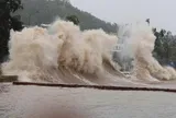 Bão số 1 giật cấp 10 trên Biển Đông, 3 tỉnh nào chịu ảnh hưởng nặng nhất?