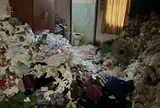 Thuê nhà nhiều năm rồi âm thầm biến mất, cặp vợ chồng để lại "bãi chiến trường rác" cho chủ nhà