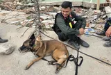 King và Max được trao danh hiệu "Anh hùng Chó nghiệp vụ Venezuela"