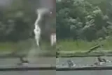 Clip: Người đàn ông bị sét đánh trúng cần câu khi đang câu cá và cái kết không tưởng