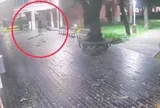 Phát hiện thi thể nam sinh trong khuôn viên bảo tàng: Camera ghi lại những hình ảnh cuối cùng lúc 3h30 sáng