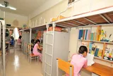 Vì sao ký túc xá thường dùng giường tầng? Lý do nằm ở bài toán diện tích và chi phí