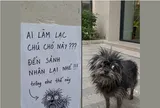 Tưởng tranh trẻ con vẽ chơi, ai ngờ là ảnh chân dung chú chó đi lạc chính xác đến từng cọng lông