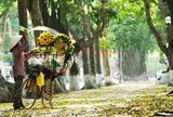Đừng vội tìm thực phẩm “đại bổ” mùa thu: Chuyên gia gợi ý 4 món dân dã vừa ngon vừa dễ ăn khi thời tiết chuyển mùa