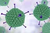 Gia tăng ca mắc virus Adeno ở trẻ em, Bộ Y tế đưa ra công văn khẩn