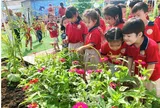 Trẻ cần vận động bao lâu mỗi ngày? Bộ Y tế đưa ra khuyến nghị mới