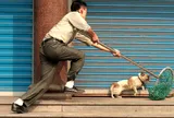 TP.HCM: Tông xe vào cán bộ công an, kẻ trộm chó bị bắt