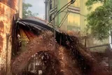 Vụ sét đánh thủng bể chứa, 2.000 lít mật mía chảy ra ngoài: Mật chảy trong khoảng 30 phút, mọi người chỉ biết đứng nhìn