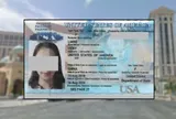 Bắt kiều nữ 33 tuổi có cùng lúc 6 chồng: Hé lộ thủ đoạn lừa đảo