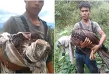 Vạch trần kịch bản thâm độc sau bức ảnh "người hùng" cứu đại bàng, netizen đồng loạt "quay xe" khi biết sự thật