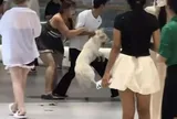 Thách thức dư luận dắt chó không rọ mõm đi dạo trung tâm thương mại, cô gái bị "dạy dỗ" ngay tại trận