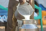 Phanh phui đường dây pha trộn bột giặt, hóa chất vào hàng chục nghìn lít sữa tươi