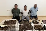 Cú lừa 3,3 triệu USD chấn động: Cảnh sát phá án thần tốc, Interpol phát Lệnh truy nã đỏ "công chúa" bí ẩn!