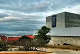 Điểm tuyệt đối tăng vọt, trường đại học top đầu hủy kết quả thi, tổ chức thi lại