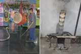Rợn người cảnh "quái thú" hổ mang chúa 3,6m cuộn mình trong ngôi đền, cả làng tháo chạy tán loạn